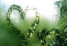 Flower，flower歌曲