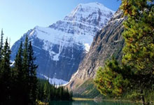 学裱花去哪里学比较好,学裱花去哪里学比较好呢