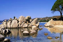 学裱花去哪里学比较好，学裱花去哪里学比较好呢